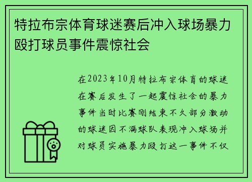 特拉布宗体育球迷赛后冲入球场暴力殴打球员事件震惊社会